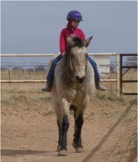 Sayra on Sadie