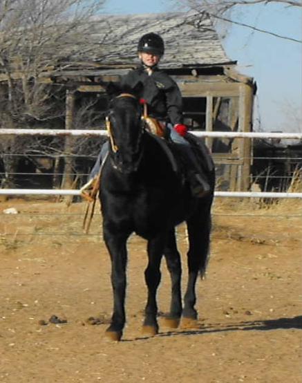 Courtney on her horse, Chanata, February 09